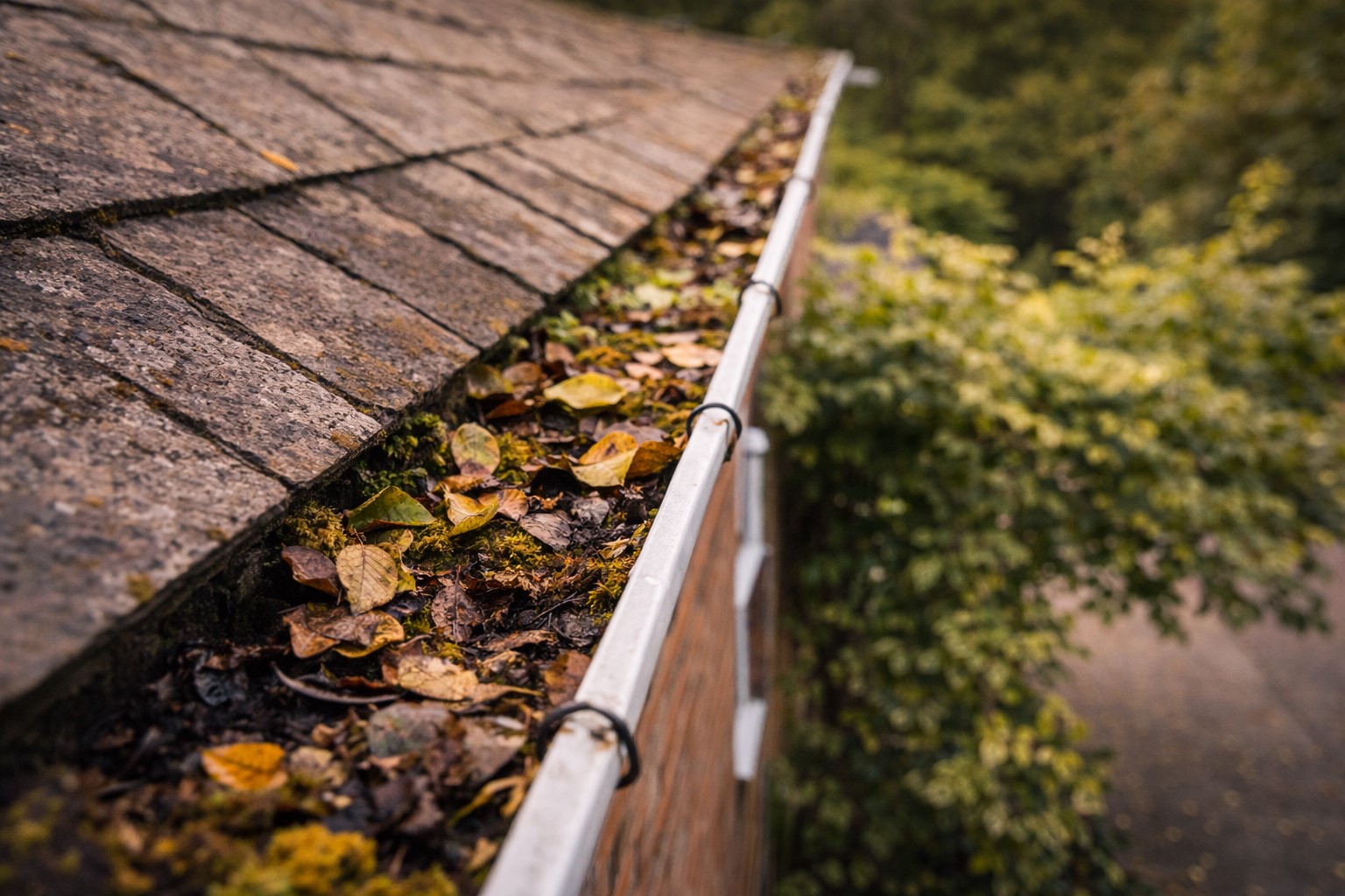 Roof leak investigation Surrey