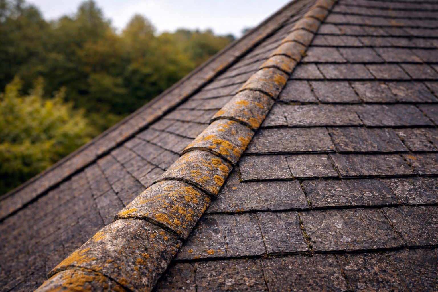 Drone roof inspection Guildford